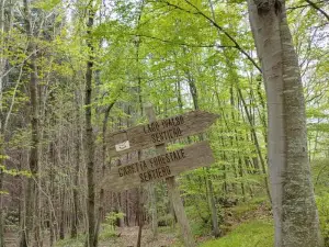 Locazione Turistica Arcobaleno "Family Loft"
