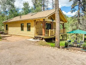 Conifer Log Cabin Rental w/ Private Hot Tub & Pond