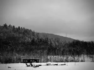 Modern Cabin in Pristine Nature