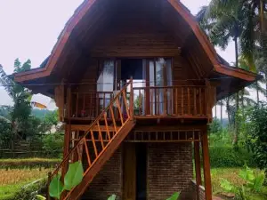 Tetebatu rice field bliss
