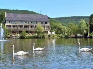 Hôtel les Rives