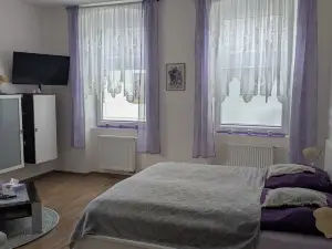 Frühstückspension Alte Volksschule Heinrichs bei Weitra