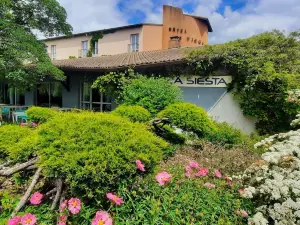 The Originals City Hôtel la Siesta Annonay Est