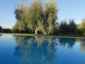 Agriturismo la Pieve