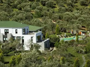 Teomida Hotel