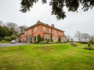 The Upper House