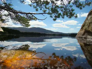 The Boat House Chalet, Boat of Garten, Near Aviemore, Sleeps 6