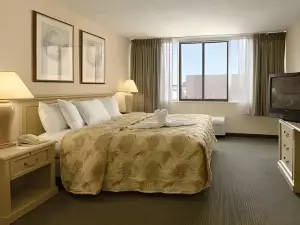 Comfort Inn Downtown