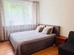 Comfy Classic Apartment in Trakai