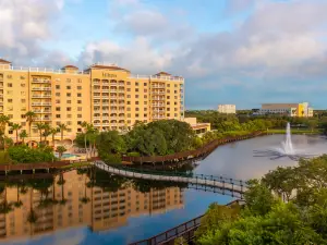 Hilton St. Petersburg Carillon Park