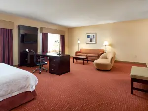 ハンプトン イン & スイーツ オースティン サウス / ブダ