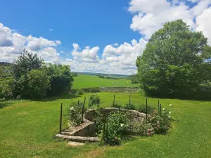 Le domaine aux herbes folles