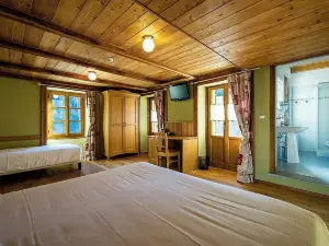 Mirtillo Alpino Casa Vacanze
