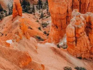 Bryce Glamping