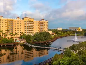 Hilton St. Petersburg Carillon Park