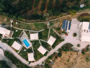 Socrates Organic Village - Wild Olive