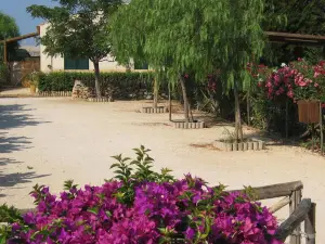 L'Araucaria Turismo Rurale