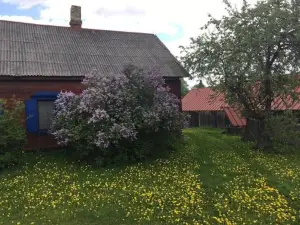 Bondari - Countryside Experience Near Rēzekne