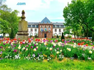 Logement de Charme Dans un Monument Historique daté de 1544, au Centre de Haguenau