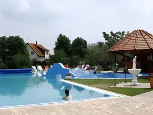 Duna Relax Hotel Ráckeve