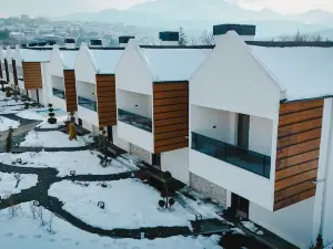 Villa 3917 Erciyes
