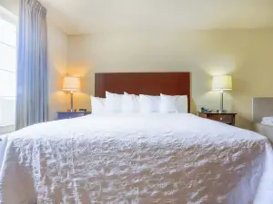 Evansville Inn & Suites by OYO