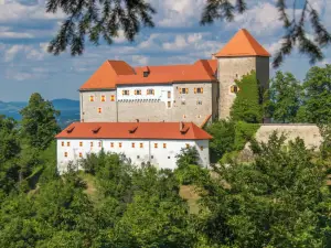 룸 & 아파트먼트 포드스레다 성