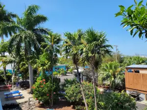 洛伊基礁度假村及潛水中心