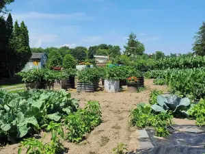 Ferrisburgh Home on Otter Creek! Two Bedroom House