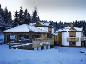 Ski & Spa Hotel Bellevue