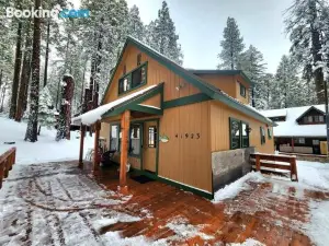 Toste Cabin- Spacious 3Br Cabin in East Village!