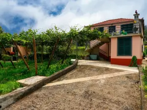 Os Ferreirinhos a Home in Madeira