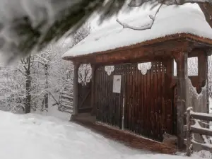 Casele cu Stuf B&B Haus Ulrike