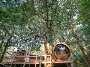 Pine Tree House with Hot Tub & Sauna