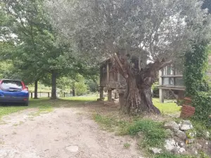 Casa da Mestre