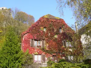 Maison des 5 Temps - Chambres Dhôtes de Charme à Ferrette