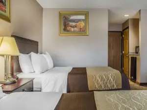 Quality Inn Lockport