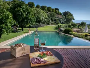 Quinta do Vallado - Douro Wine Hotel