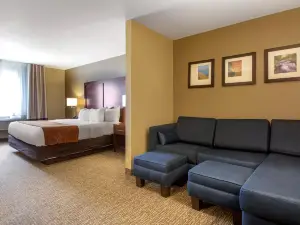 約翰遜河會議中心舒適套房飯店