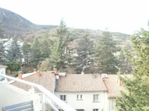 Catalane 412, Ideale Rando