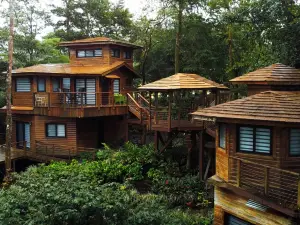 Lucero - Luxury Treehouses