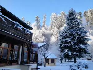 Hotel Au Vieux Moulin