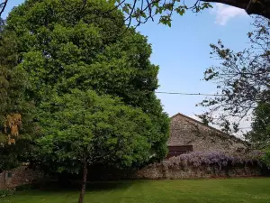 Le Clos de la Font Queroy