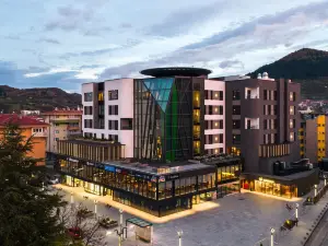 Hotel Vema