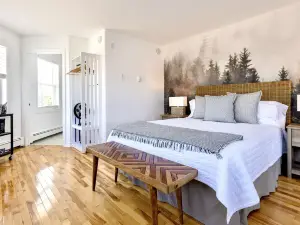North Star Beach Suites