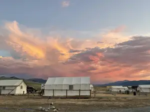 Yellowstone Dreamin Camp