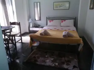 Central Guest Room