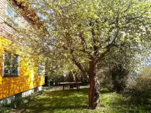 2 Bedrooms Furnished Apartment - Close to Everything in Moss