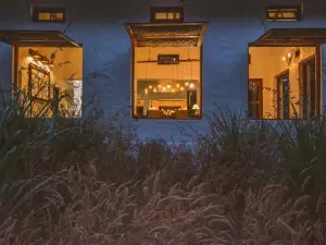Jamtara Wilderness Camp - Pench National Park