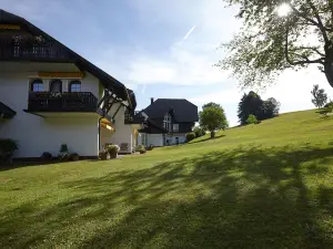 Hotel zum Ochsen Schönwald